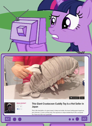 Size: 563x771 | Tagged: safe, twilight sparkle, isopod, unicorn, g4, exploitable meme, giant isopod, gross, headline, horn, irl, meme, photo, tv meme