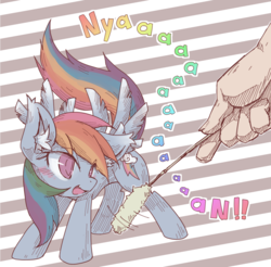 Size: 1000x985 | Tagged: safe, artist:kolshica, rainbow dash, cat, human, pegasus, pony, g4, behaving like a cat, blushing, cat toy, ear fluff, fangs, female, hand, mare, open mouth, rainbow cat