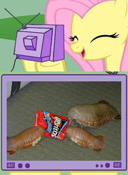 Size: 438x600 | Tagged: safe, fluttershy, g4, doritos, exploitable meme, giant isopod, meme, tv meme