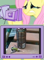 Size: 565x771 | Tagged: safe, fluttershy, hummingbird, g4, crying, death, energy drink, exploitable meme, fluttercry, sad, tv meme