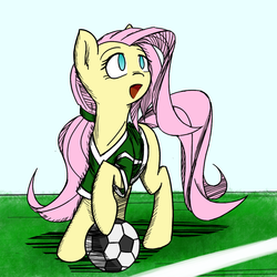 Size: 1000x1000 | Tagged: safe, artist:thattagen, fluttershy, g4, female, football, low ponytail, ponytail, solo, sports