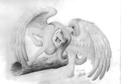 Size: 900x627 | Tagged: safe, artist:hamii, fluttershy, g4, female, monochrome, solo, traditional art