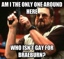 Size: 497x456 | Tagged: safe, braeburn, g4, am i the only one around here, barely pony related, everypony's gay for braeburn, image macro, meme, meta, text, the big lebowski, walter sobchak