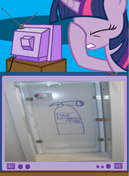 Size: 563x771 | Tagged: safe, twilight sparkle, g4, exploitable meme, facehoof, fire extinguisher, meme, safety, seems legit, tv meme