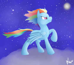 Size: 1000x876 | Tagged: safe, artist:kunomasu, rainbow dash, g4, cloud, female, night, solo