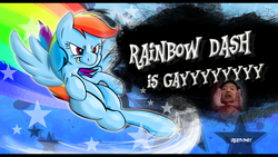 Size: 3840x2160 | Tagged: safe, rainbow dash, g4, anti-butthurt zone, joke, lol