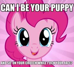 Size: 798x720 | Tagged: safe, pinkie pie, g4, bronybait, cute, diapinkes, female, image macro, puppy, puppy pie, solo