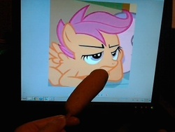 Size: 320x240 | Tagged: safe, scootaloo, g4, corndog, waifu dinner