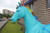 Size: 5184x3456 | Tagged: safe, rainbow dash, g4, hoers, photo, russia, statue, vandalism