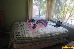 Size: 3872x2592 | Tagged: safe, artist:utterlyludicrous, twilight sparkle, g4, bed, computer, irl, laptop computer, photo, ponies in real life, solo, sultry pose, tree, window