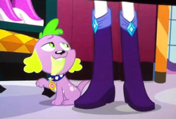 Size: 486x329 | Tagged: safe, screencap, rarity, spike, dog, equestria girls, g4, my little pony equestria girls, boots, carousel boutique, high heel boots, legs, out of context, photo, picture of a screen, spike the dog