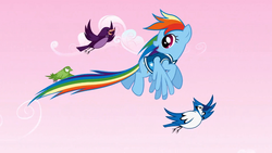 Size: 1366x768 | Tagged: safe, screencap, rainbow dash, bird, blue jay, pegasus, pony, songbird, g4, winter wrap up, clothes, cloud, female, flying, jacket, mare, migration, purple martin, smiling, solo, talking, weather team, winter wrap up vest