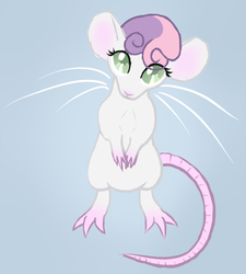 Size: 700x777 | Tagged: safe, artist:arrkhal, sweetie belle, mouse, pony, rat, rodent, g4, adorable face, bipedal, cute, female, looking at you, mousified, simple background, solo, species swap