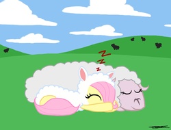 Size: 2446x1860 | Tagged: safe, artist:walliscolours, fluttershy, sheep, g4, clothes, costume, cute, filly, fluttersheep, shyabetes, sleeping, zzz