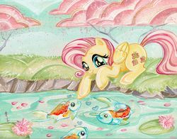 Size: 1018x800 | Tagged: safe, artist:sara richard, fluttershy, fish, koi, g4, female, solo, traditional art