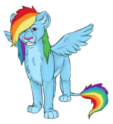 Size: 680x748 | Tagged: safe, artist:sambirani, rainbow dash, big cat, lion, g4, female, lionbow dash, lioness, lionified, simple background, solo, species swap, spread wings, transparent background, wings