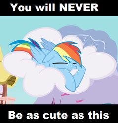 Size: 505x529 | Tagged: safe, rainbow dash, g4, cute, female, solo