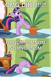 Size: 500x754 | Tagged: safe, twilight sparkle, g4, artifact, dirt, image macro, meme, nom