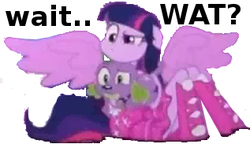 Size: 317x183 | Tagged: safe, spike, twilight sparkle, dog, equestria girls, g4, my little pony equestria girls, meme, spike the dog