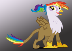 Size: 1600x1145 | Tagged: safe, artist:harukohoshiko, oc, oc only, oc:rainbow feather, griffon, interspecies offspring, magical lesbian spawn, offspring, parent:gilda, parent:rainbow dash, parents:gildash, solo