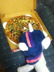 Size: 720x960 | Tagged: artist needed, safe, twilight sparkle, g4, irl, photo, pizza, plushie