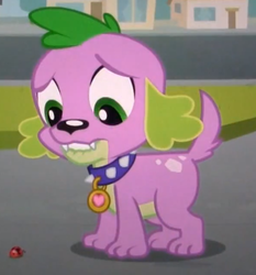 Size: 495x532 | Tagged: safe, screencap, spike, dog, ladybug, equestria girls, g4, my little pony equestria girls, male, solo, spike the dog