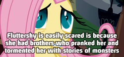 Size: 500x232 | Tagged: safe, fluttershy, g4, family, female, headcanon, solo