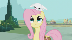 Size: 853x480 | Tagged: safe, screencap, angel bunny, fluttershy, g4, just for sidekicks, my little pony: friendship is magic