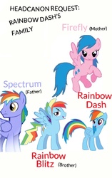 Size: 620x987 | Tagged: safe, artist:cupcakecrazy43, firefly, rainbow blaze, rainbow dash, pegasus, pony, g1, g4, family, female, firefly as rainbow dash's mom, g1 to g4, generation leap, headcanon, male, mare, rainbow blitz, rule 63, ship:fireblaze, simple background, stallion, white background