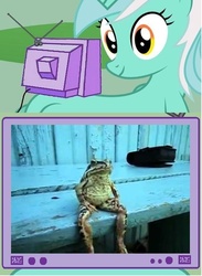 Size: 565x772 | Tagged: safe, lyra heartstrings, frog, g4, bench, exploitable meme, tv meme