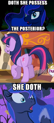 Size: 357x801 | Tagged: safe, princess luna, twilight sparkle, g4, butt, meme, plot