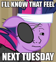 Size: 452x500 | Tagged: safe, edit, edited screencap, screencap, twilight sparkle, pony, unicorn, g4, it's about time, eyepatch, feels, female, future twilight, meme, solo, that feel, wojak