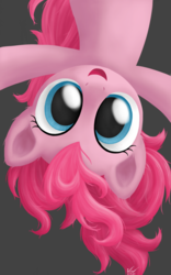 Size: 1280x2048 | Tagged: safe, artist:symbianl, pinkie pie, earth pony, pony, g4, cute, diapinkes, female, filly, filly pinkie pie, gray background, in which pinkie pie forgets how to gravity, looking at you, pinkie being pinkie, pinkie physics, simple background, solo, upside down, younger