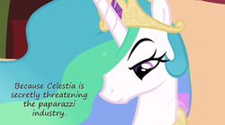 Size: 1280x712 | Tagged: safe, princess celestia, g4, female, hub logo, insane pony thread, paparazzi, solo, tumblr