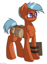 Size: 2000x2739 | Tagged: safe, artist:vivofortissimo, oc, oc only, commission, glasses, saddle bag, solo