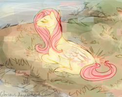 Size: 1000x800 | Tagged: safe, artist:gloriaus, fluttershy, g4, female, solo, water