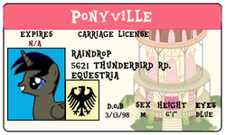 Size: 500x300 | Tagged: safe, artist:derpypyro, oc, oc only, oc:raindrop, alicorn, pony, alicorn oc, id card, license, smiling, solo