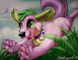 Size: 3850x2975 | Tagged: safe, artist:blindcoyote, spike, dog, equestria girls, g4, collar, cute, male, paw pads, paws, solo, spikabetes, spike the dog, underpaw