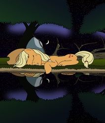 Size: 2550x3000 | Tagged: safe, artist:wetwyatt, applejack, g4, female, night, reflection, sleeping, solo, water