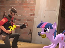 Size: 1024x768 | Tagged: safe, twilight sparkle, g4, 3d, gmod, mouth hold, saxxy, sniper, sniper (tf2), team fortress 2, trade, trophy