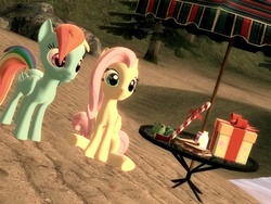 Size: 1024x768 | Tagged: safe, fluttershy, rainbow dash, g4, 3d, beach, gmod, party, present, relaxing