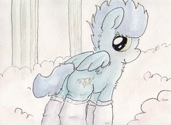 Size: 1019x742 | Tagged: safe, artist:slightlyshade, soarin', g4, butt, clothes, cute, male, plot, socks, solo, traditional art