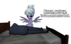 Size: 960x600 | Tagged: safe, artist:pinkie diane roosevelt phd, cloudchaser, oc, oc:anon, g4, 3d, bed, gmod, sleeping