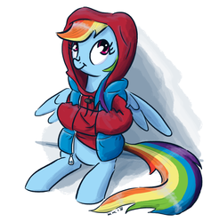 Size: 1000x1055 | Tagged: safe, artist:king-kakapo, rainbow dash, pegasus, pony, g4, clothes, female, hoodie, sitting, solo