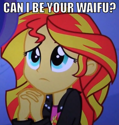 Size: 448x471 | Tagged: safe, sunset shimmer, human, equestria girls, g4, my little pony equestria girls, begging, bronybait, cute, female, hilarious in hindsight, image macro, meme, shimmerbetes, solo, waifu