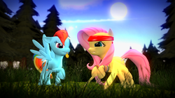 Size: 1920x1080 | Tagged: safe, artist:d0ntst0pme, fluttershy, rainbow dash, g4, 3d, band, gmod, not sfm, wristband