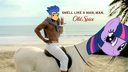 Size: 1280x720 | Tagged: safe, flash sentry, twilight sparkle, horse, human, equestria girls, g4, exploitable meme, flash sentry savior of the universe, hoers, irl, irl human, meme, old spice, old spice guy, photo, twiface