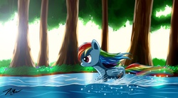 Size: 1356x751 | Tagged: safe, artist:camaine, rainbow dash, g4, female, forest, running, solo