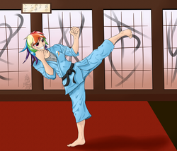 Size: 3500x3000 | Tagged: safe, artist:theimmolatedpoet, rainbow dash, human, g4, barefoot, black belt, clothes, feet, female, gi, humanized, karate, martial arts, pants, robe, solo