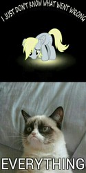 Size: 600x1200 | Tagged: safe, derpy hooves, pegasus, pony, g4, female, grumpy cat, i just don't know what went wrong, image macro, mare